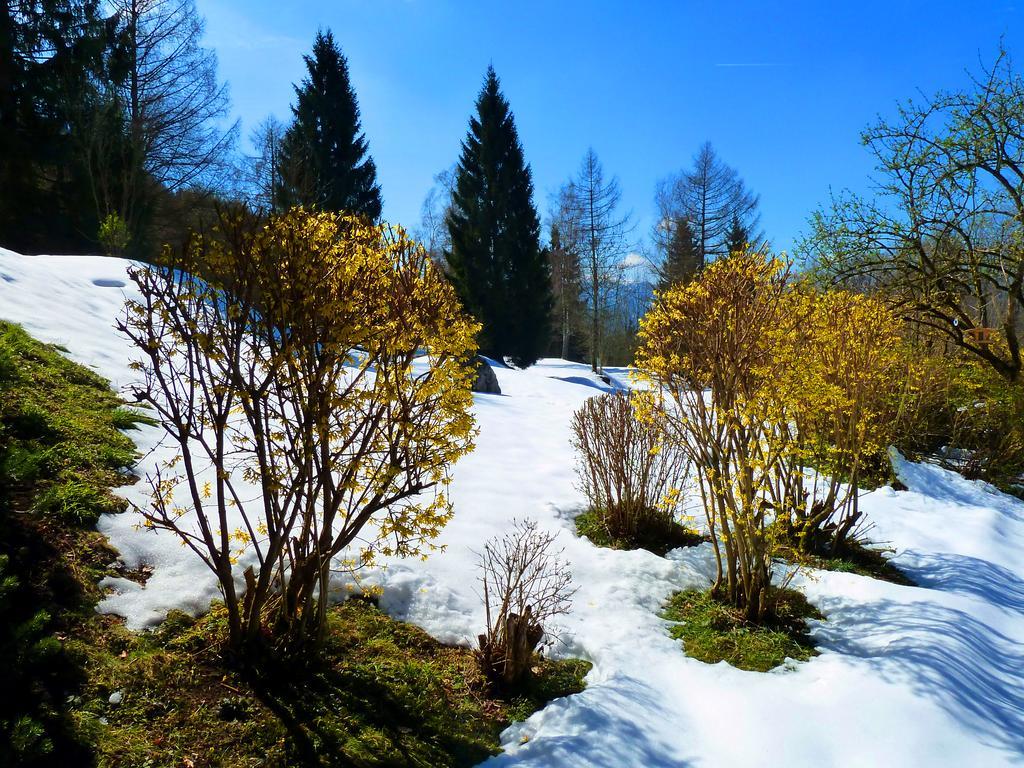 Romantikhotel Die Gersberg Alm Залцбург Екстериор снимка
