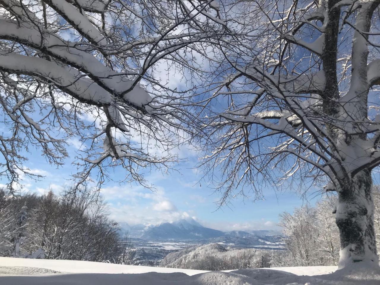 Romantikhotel Die Gersberg Alm Залцбург Екстериор снимка